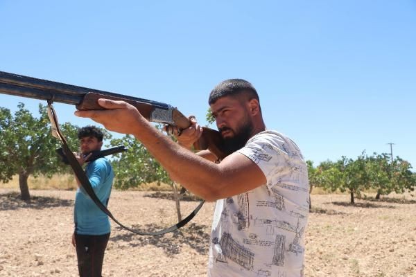 'Yeşil altın'da silahlı önlem: Günlük nöbet 1000 TL - Resim: 9
