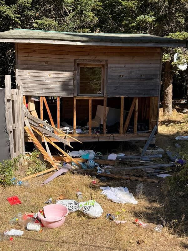 Uludağ'da barakaya giren ayı eşyaları parçaladı - Resim: 3