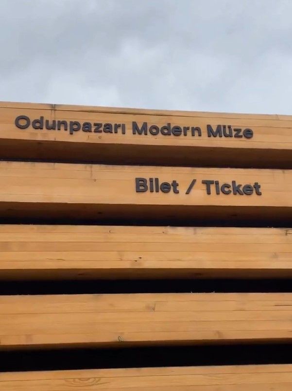 Odunpazarı Modern Sanat Müzesi'nde sapkınlığa sanat kılıfı! Ayşe Fatma'yı değil Ali Ayşe'yi seviyor... - Resim: 2