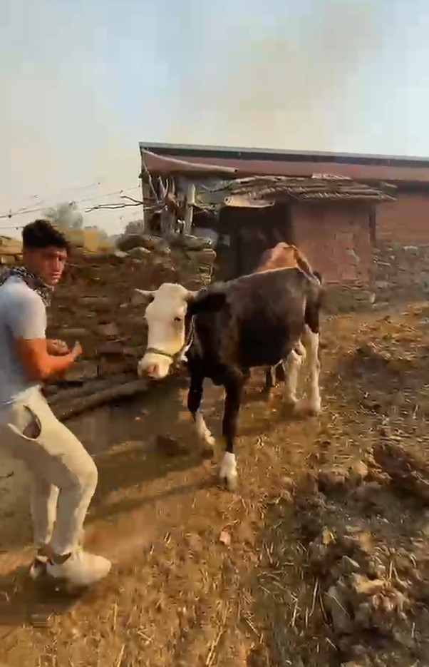 Aydın Bozdoğan'daki orman yangını yerleşim yerlerine yaklaştı! Tahliyeler başladı - Resim : 1