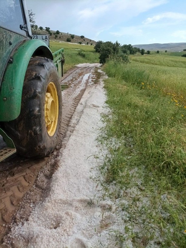 Elazığ'da korkunç olay! 200'e yakın küçükbaş hayvan öldü - Resim: 5