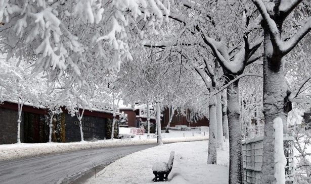 İstanbul'un kapısına kadar gelen kar neden şehir merkezine giremiyor?☃️🌨️❄️ - Resim: 5