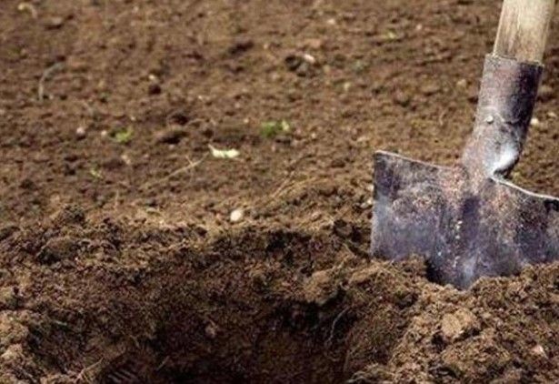 Dünya bu olayı konuşuyor: Brezilya'da diri diri mezara gömülen kadın 10 saat sonra sağ çıkarıldı! 2 kişi tutuklandı - Resim: 5