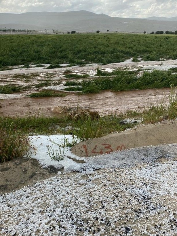 Elazığ'da korkunç olay! 200'e yakın küçükbaş hayvan öldü - Resim: 6