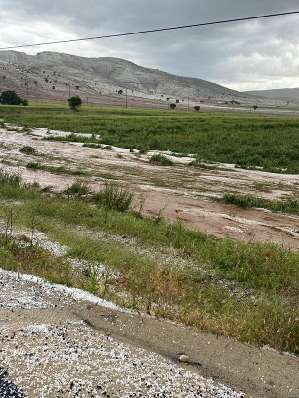 Elazığ'da korkunç olay! 200'e yakın küçükbaş hayvan öldü - Resim: 7