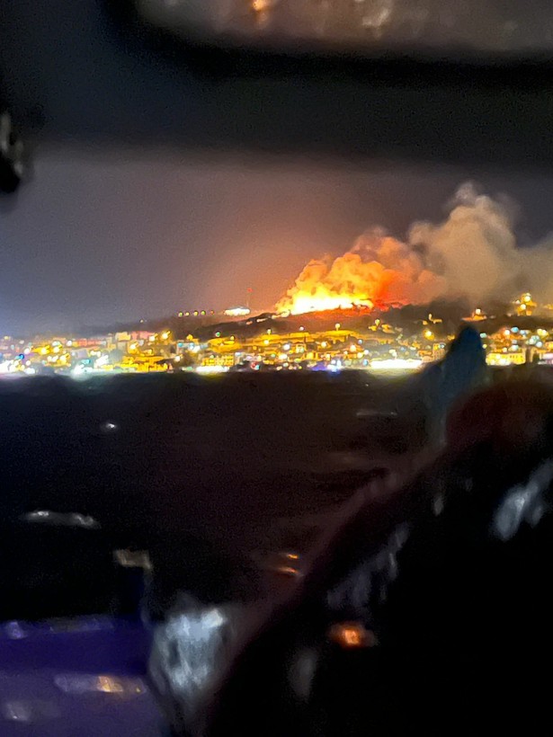 Ayvalık'taki yangın söndürüldü - Resim: 4