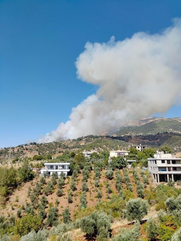 Kahramanmaraş’ta ormanlık arazide çıkan yangın kontrol altına alındı - Resim: 8