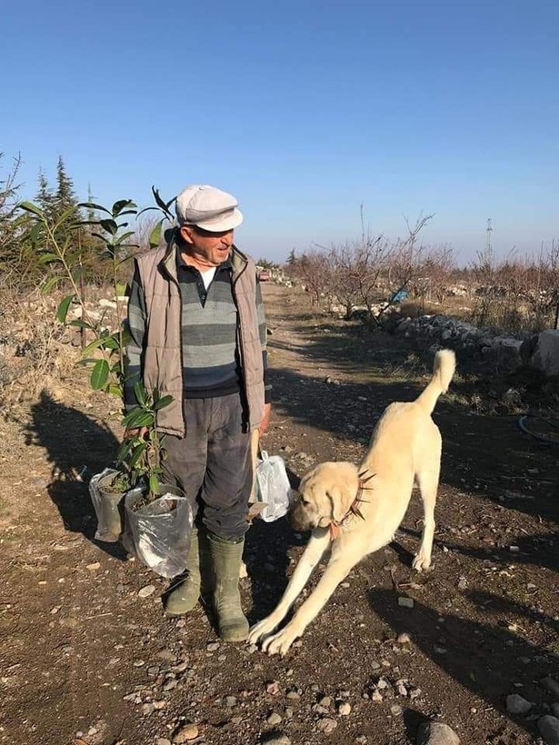 'Orman Dede' olarak bilinen Rahim öğretmen, elleriyle kurduğu ormana defnedildi - Resim: 5