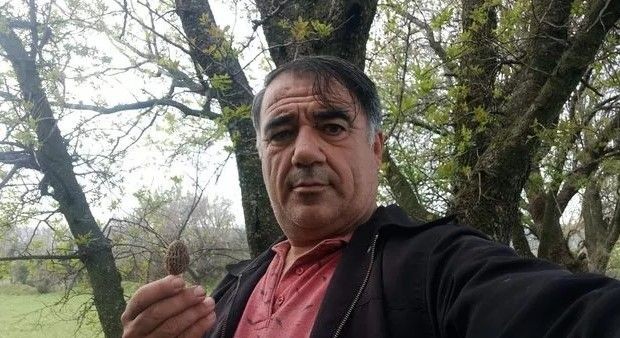 Kendi kendine yetişiyor! 'Çok değerlinin' kilosu 700 TL! 'Yerlerini bilmeyenler...' - Resim: 1