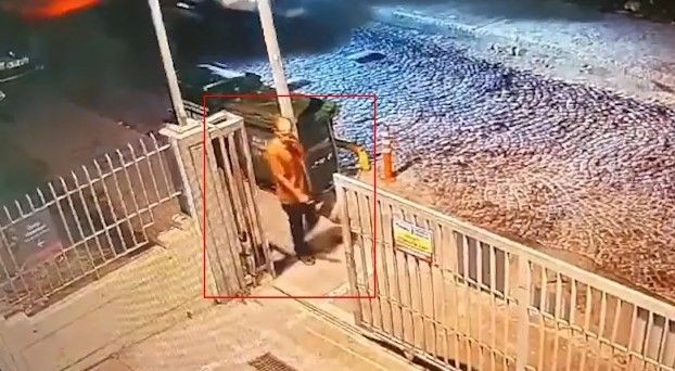 Fatih'te sokak köpeklerinin parçalayarak öldürdüğü adam neler yaşadı? Vahşet hastane raporunda - Resim: 7