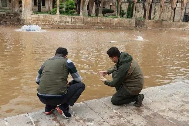 Balıklıgöl'deki balıklara ne oldu? 'Depremde de aynısı olmuştu' diyerek anlattı... Meğer oraya saklanıyorlarmış - Resim: 7