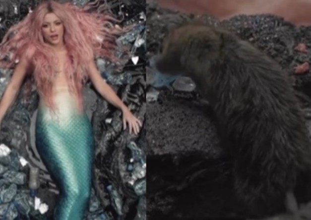 Shakira paylaşımıyla sosyal medyayı salladı! Klibinde fareyle burun buruna geldi - Resim: 3