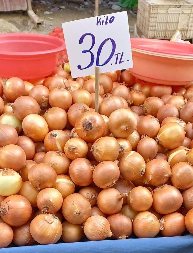 Hasat başladı! Fiyatı 30 TL'yi bulan soğanda 'fiyat düşecek' beklentisi başladı - Resim: 1