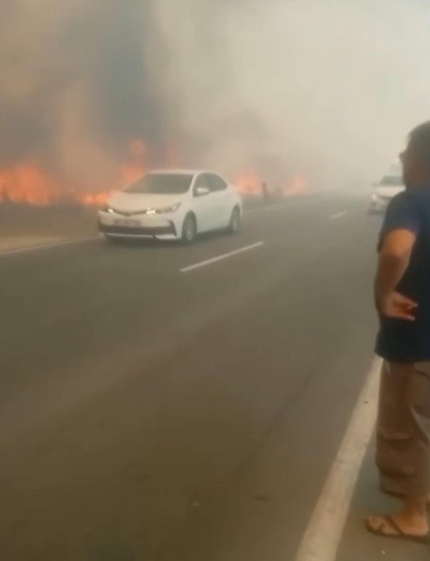 Tekirdağ'da 180 dönümlük buğday tarlası yandı! 3 kişi dumandan etkilendi - Resim: 5