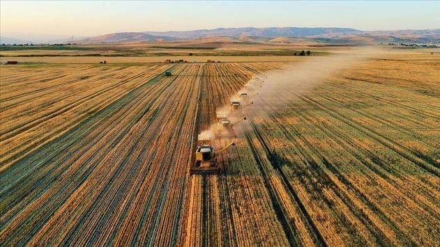 Eşlerine en sadık 10 meslek belli oldu: İşte o liste... - Resim: 4