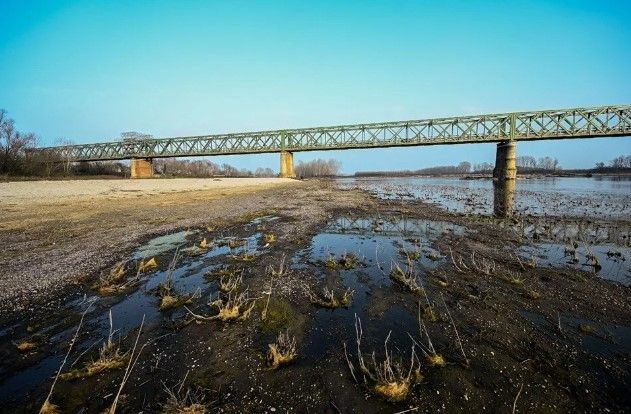 Avrupa'da öldüren sıcaklar! 61 bini aşkın kişi hayatını kaybetti - Resim: 12