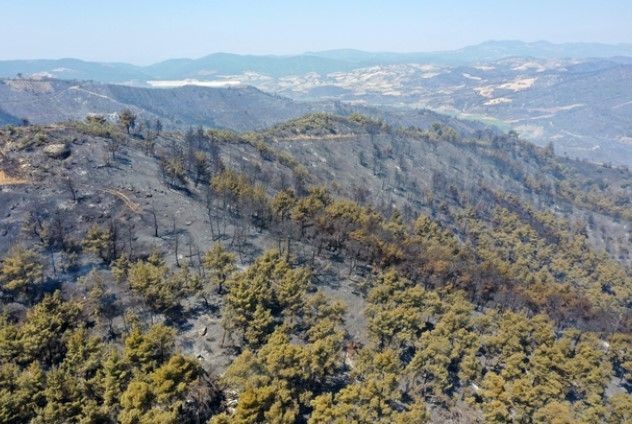 Orman yangınlarının ardından Ege'nin yeşilliği yerini griliğe bıraktı - Resim: 14