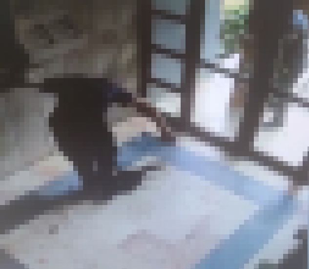 Başakşehir'de kediye işkence: Cani gözaltına alındı - Resim: 3