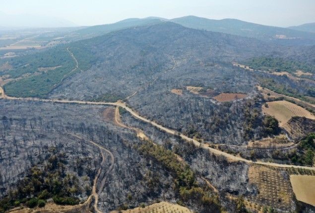 Orman yangınlarının ardından Ege'nin yeşilliği yerini griliğe bıraktı - Resim: 15