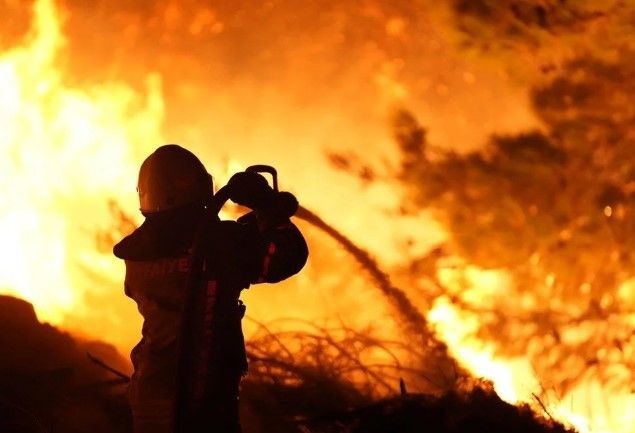Türkiye alev alev yanıyor! Yangınlara müdahalede il il son durum - Resim: 38