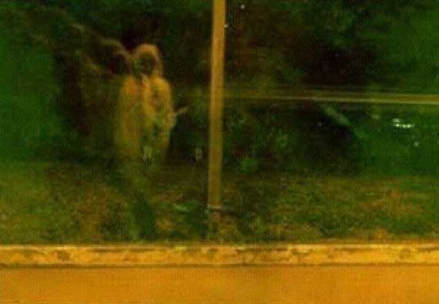 Asansörün kapısı açıldı ancak içinde kimse yoktu! Böyle bir şey başınıza gelse kafayı yersiniz - Resim: 73