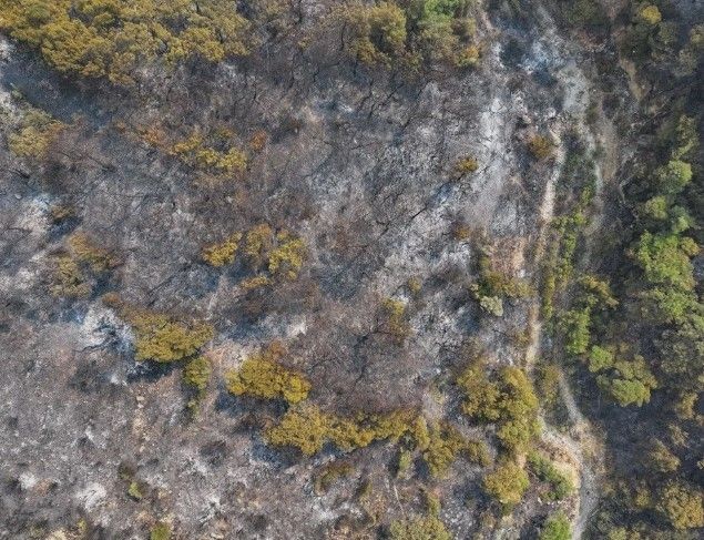 Türkiye alev alev yanıyor! Yangınlara müdahalede il il son durum - Resim: 45