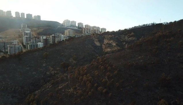 Türkiye alev alev yanıyor! Yangınlara müdahalede il il son durum - Resim: 27