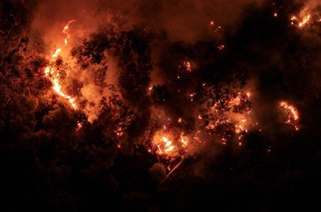 İzmir'de orman yangını | Aliağa ilçesinde başlayarak Foça'ya sıçrayan yangın kontrol altına alındı - Resim: 1