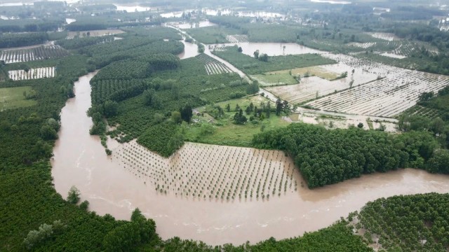 Samsun Terme'de sel felaketi: Evler sular altında kaldı - Resim : 2