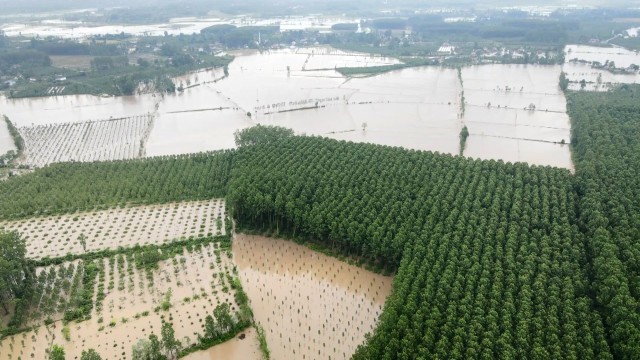 Samsun Terme'de sel felaketi: Evler sular altında kaldı - Resim : 3