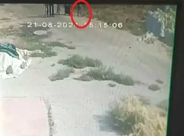 Diyarbakır'da kaybolan 8 yaşındaki Narin'in cansız bedeni bulundu mu? Kayalıklarda kan lekeleri.... - Resim: 15