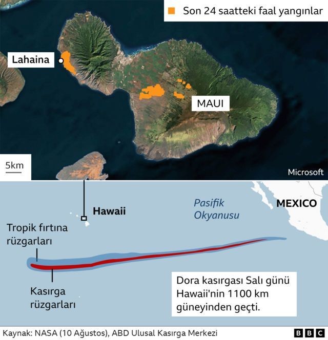 Hawaii savaş alanına döndü! Denize girerek hayatta kaldılar! Ölü sayısı yükseliyor - Resim: 2