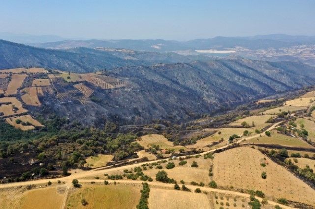 Orman yangınlarının ardından Ege'nin yeşilliği yerini griliğe bıraktı - Resim: 23