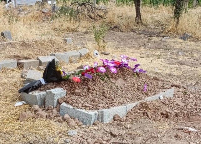 Narin cinayetinde sır perdesi kalkabilir! Bir telefon daha tespit edildi - Resim: 3