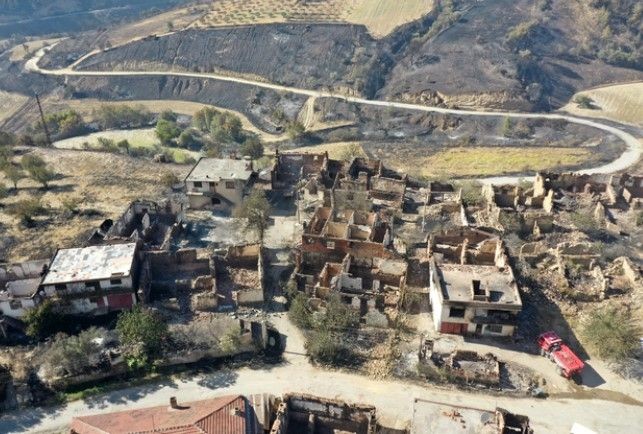 Orman yangınlarının ardından Ege'nin yeşilliği yerini griliğe bıraktı - Resim: 19