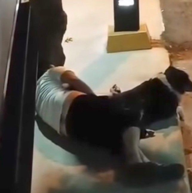 Pendik'te mide bulandıran olay! Sokak ortasında köpeğe tecavüz etti - Resim: 4