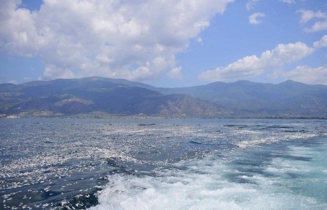 İzmir'den sonra Yunanistan! Milyonlarca balığın ölüsü sahile vurdu - Resim: 8