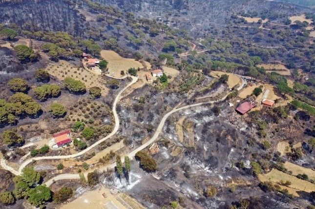 Türkiye alev alev yanıyor! Yangınlara müdahalede il il son durum - Resim: 14