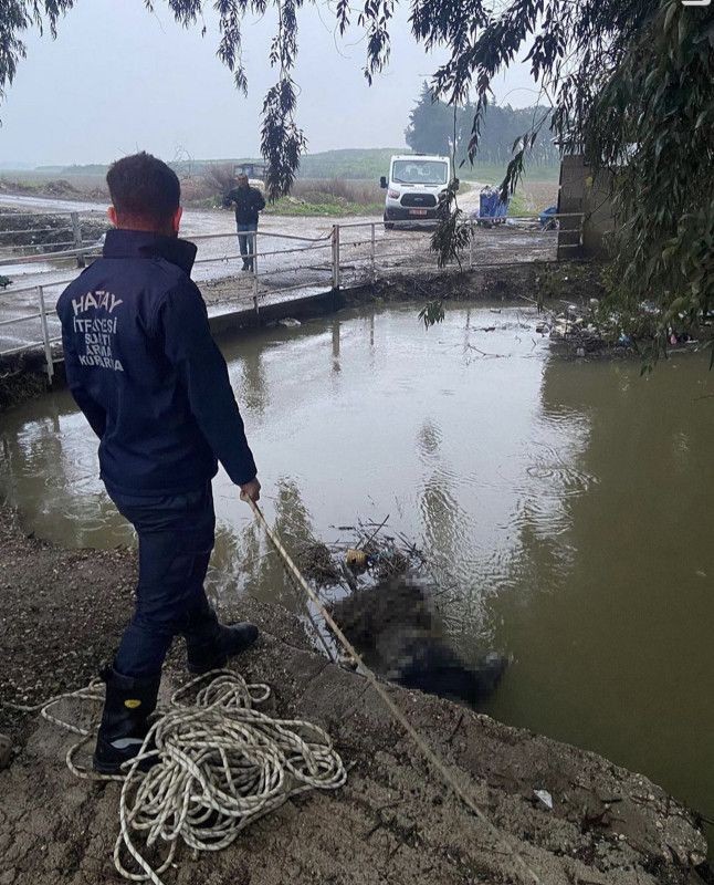 Asi Nehri'nde son bir haftada 3 ceset bulundu! - Resim: 2