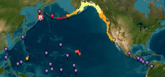 Rusya'daki 8.8'lik deprem sonrası Japonya'da balinalar kıyıya vurdu - Resim : 1