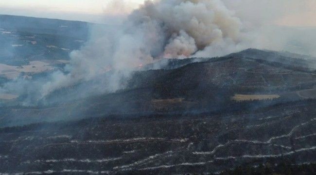 Türkiye'de 150 yangın! Bakan Yumaklı son durumu aktardı: Adalet Bakanı 17 şüphelinin gözaltına alındığını duyurdu - Resim: 4