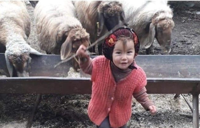 Türkiye günlerce 3 yaşındaki Müslüme Yağal'a ağladı! Davada flaş gelişme: Anne için rapor istendi - Resim: 20