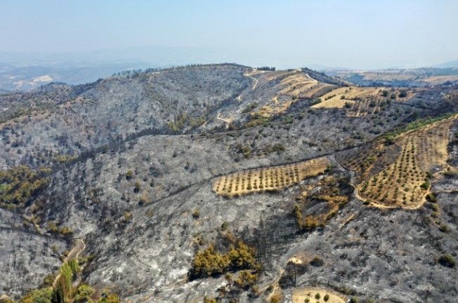Orman yangınlarının ardından Ege'nin yeşilliği yerini griliğe bıraktı - Resim: 16