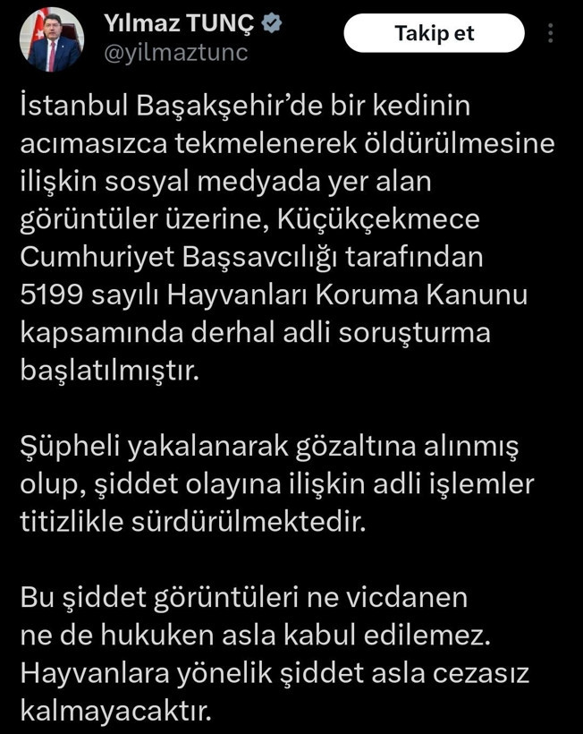 Başakşehir'de kediye işkence: Cani gözaltına alındı - Resim: 8