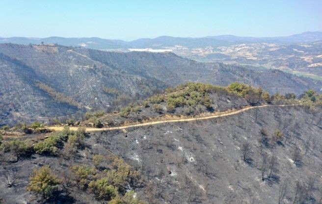 Orman yangınlarının ardından Ege'nin yeşilliği yerini griliğe bıraktı - Resim: 12