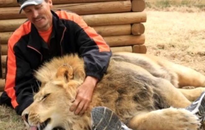 Aslan kafesine köpek bırakılırsa ne olur? Ziyaretçiler korku dolu gözlerle o anları izledi - Resim: 5