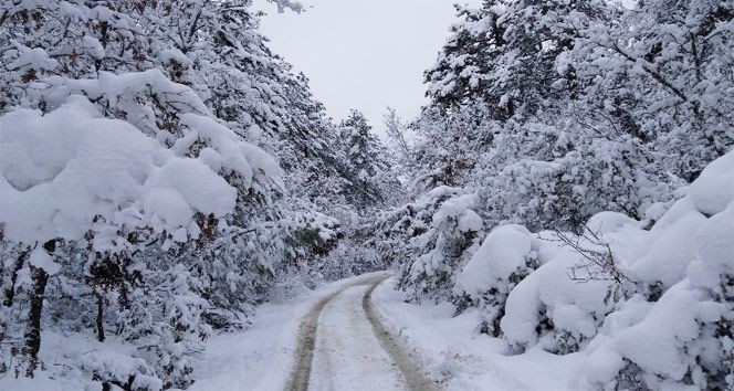 Meteoroloji o bölgelerimiz uyardı! Kar yağışı hafta sonu başlıyor! 14 OCAK HAVA DURUMU - Resim: 5
