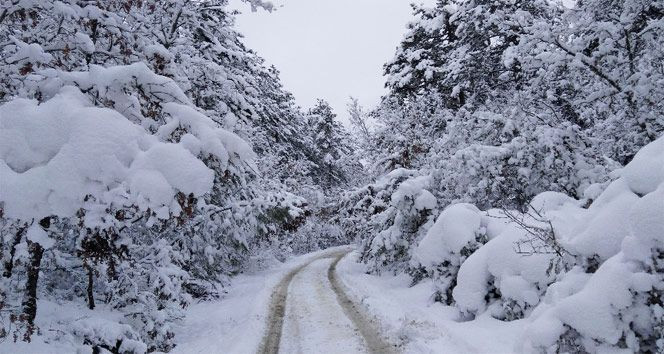 Meteoroloji yurt genelini uyardı: Fırtına, sağanak ve çığ tehlikesine dikkat | 12 MART HAVA DURUMU - Resim: 5