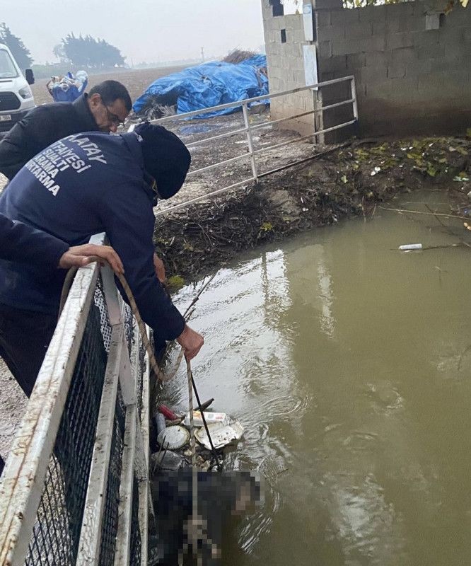 Asi Nehri'nde son bir haftada 3 ceset bulundu! - Resim: 1