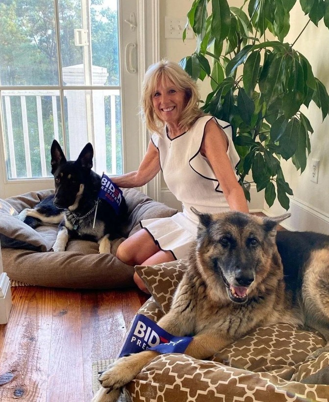 Beyaz Saray'da Biden'ın köpekleri krizi! - Resim: 11